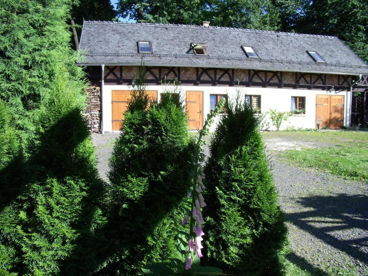 Dom Goscinny Leniuchy Leśna Kültér fotó